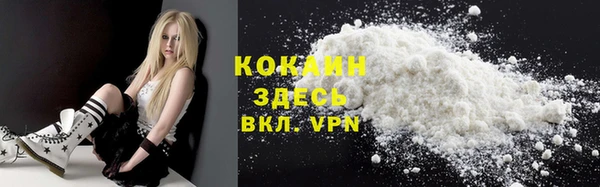 стаф Корсаков