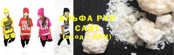 стаф Козловка