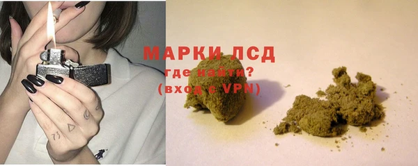 стаф Козловка