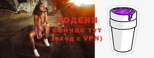 стаф Козловка