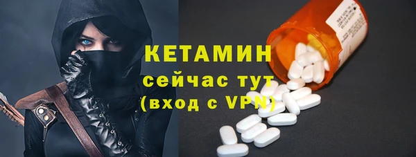 трава Коряжма