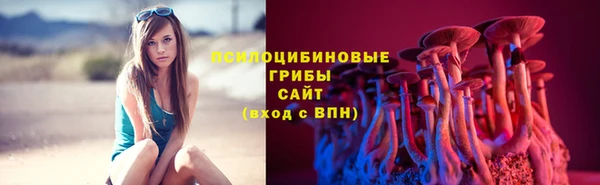 прущий лед Козельск