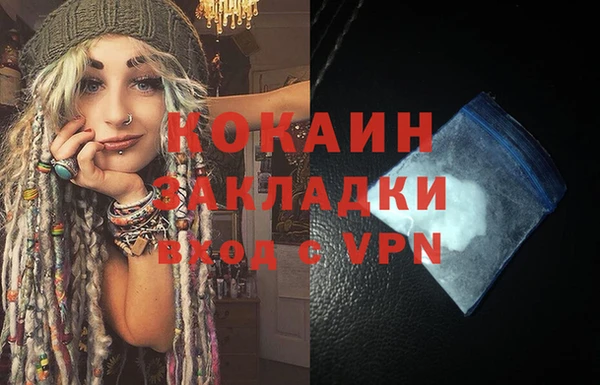стаф Козловка