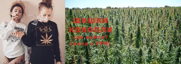 прущий лед Козельск