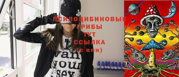 стаф Козловка
