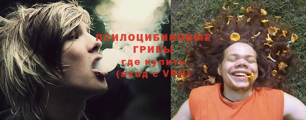 стаф Козловка