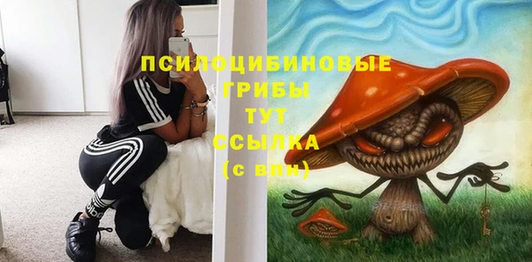 стаф Козловка