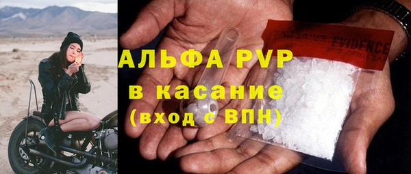 стаф Козловка
