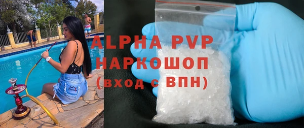 стаф Корсаков